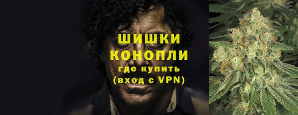 шишки Богородицк