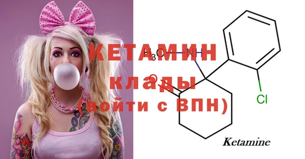 шишки Богородицк