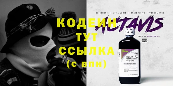 шишки Богородицк