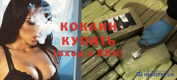 шишки Богородицк