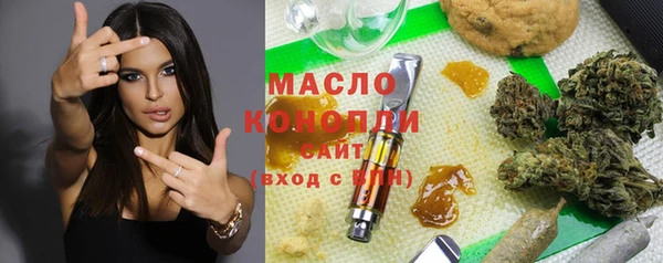 шишки Богородицк