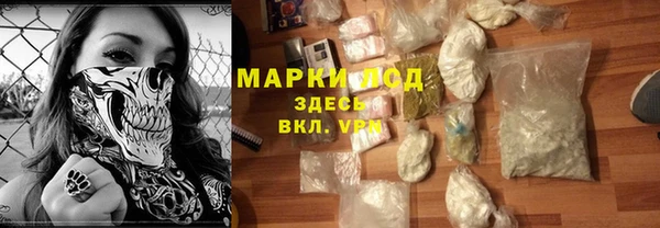 шишки Богородицк