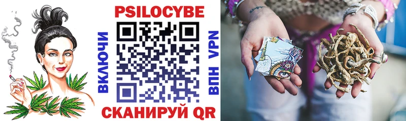 Галлюциногенные грибы Psilocybine cubensis  Купить где  Мантурово 